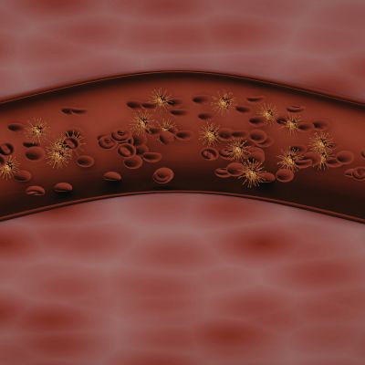 Desgaste celular después de los 35