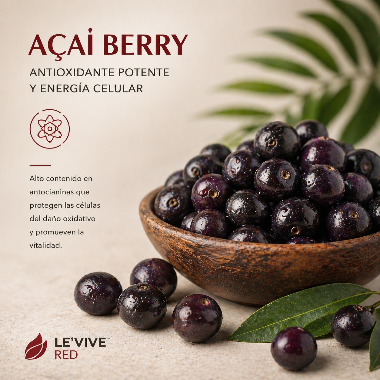 Açaí Berry