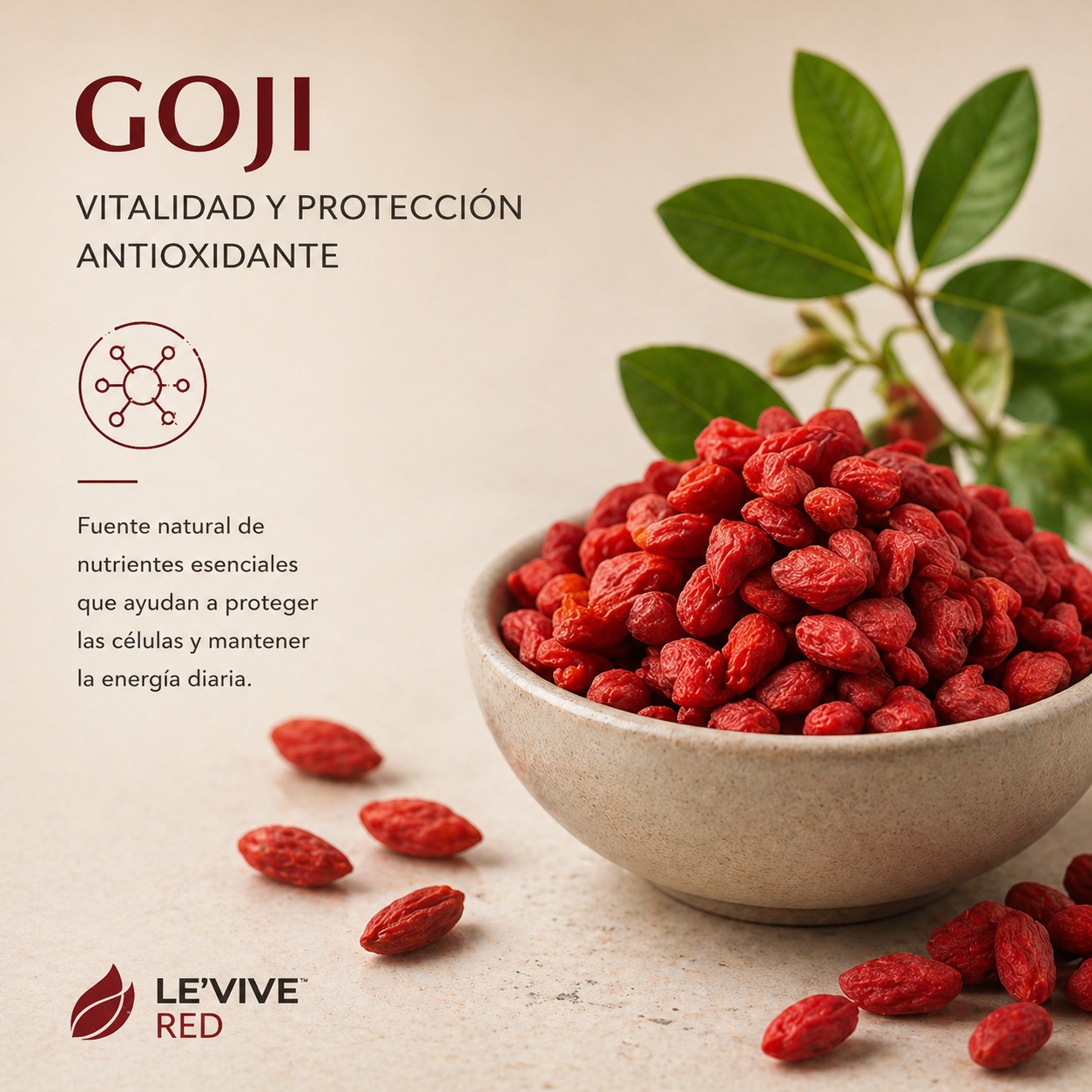 Goji Berry