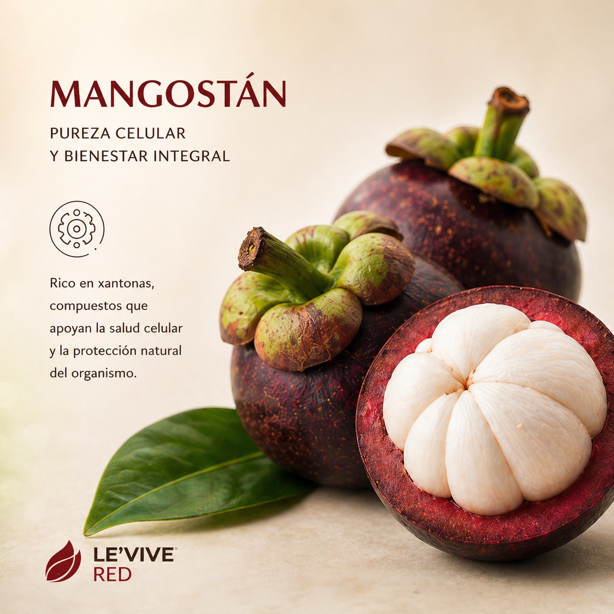 Mangostán