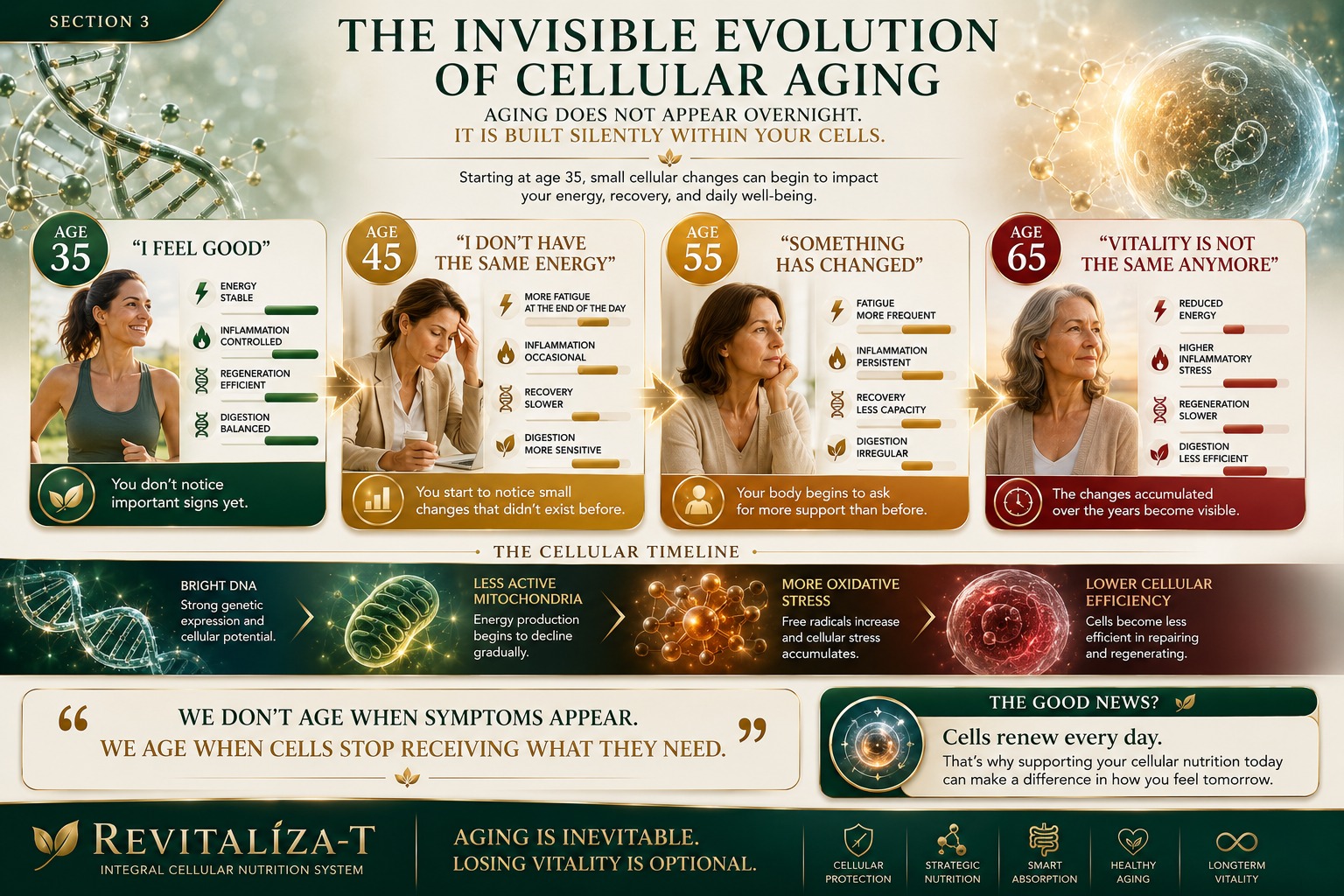 Evolución invisible del envejecimiento celular