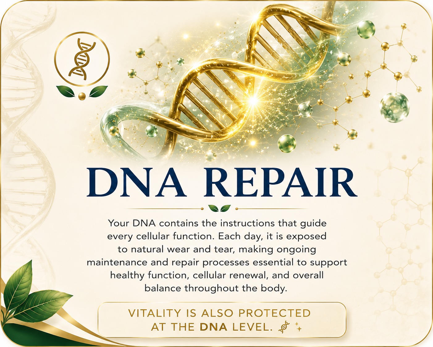 Protección y reparación del ADN