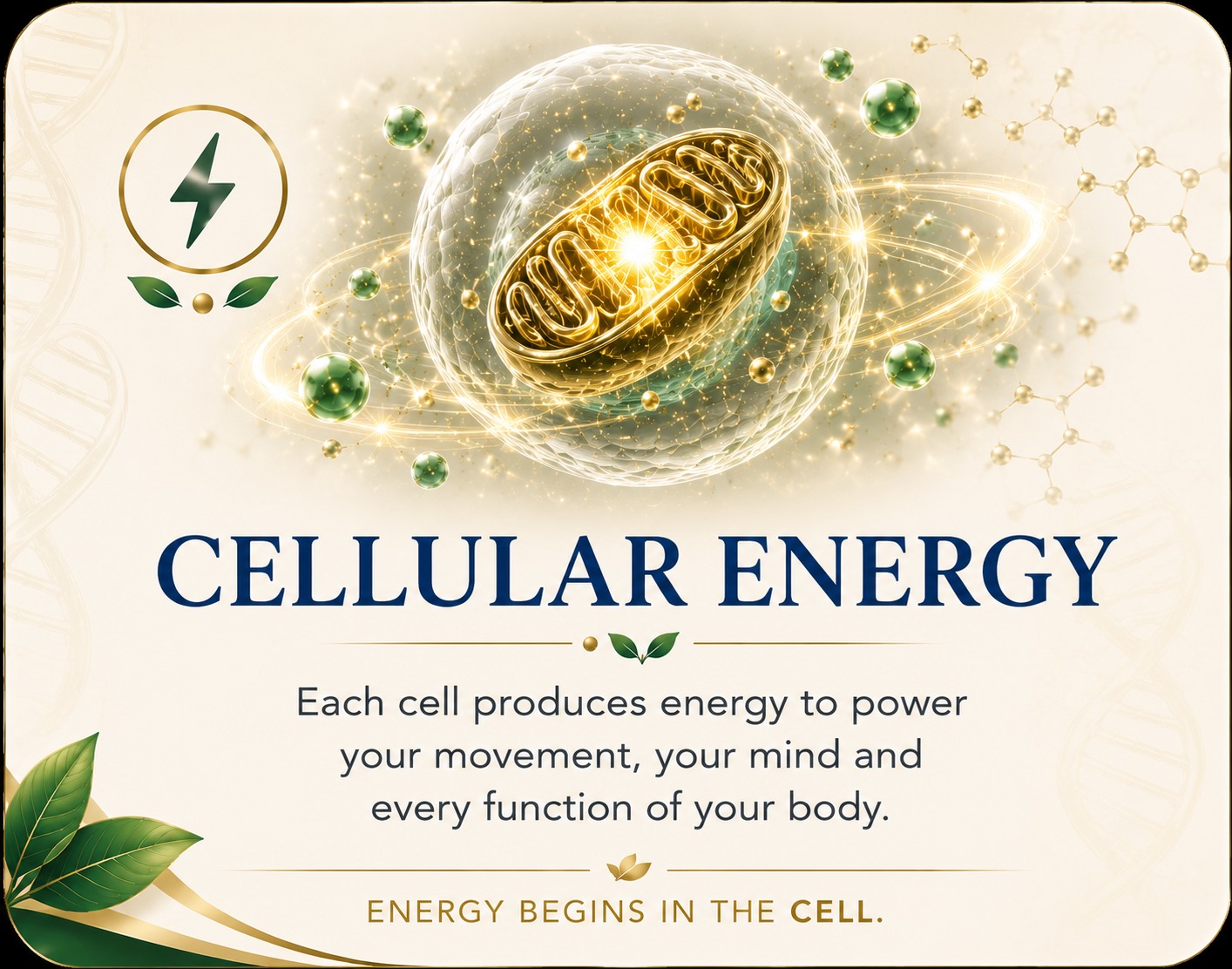 Energía celular