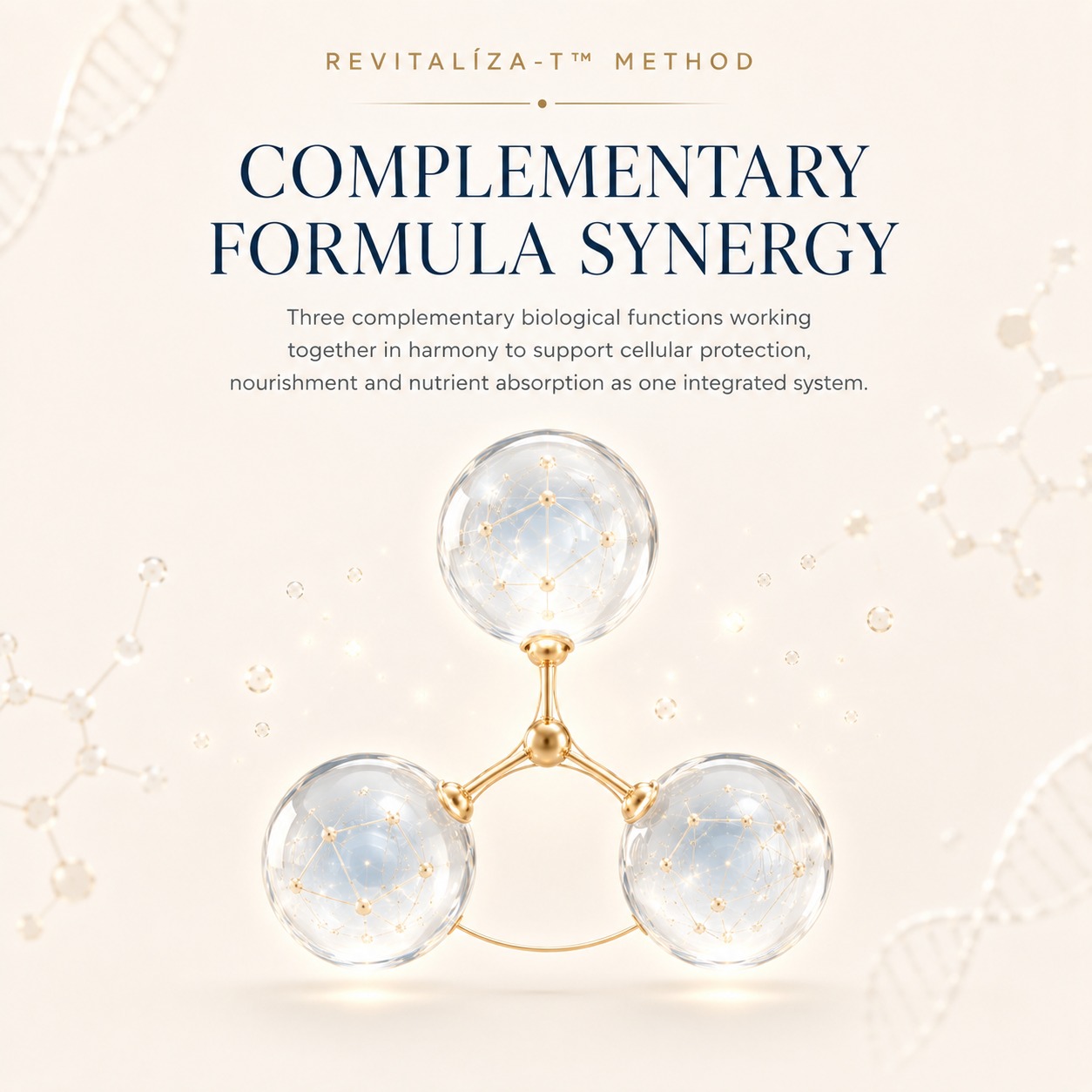 Pilar 2: Sinergia de Fórmulas Complementarias
