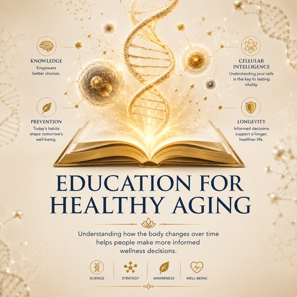 Educación para un Envejecimiento Saludable - Revitalíza-T