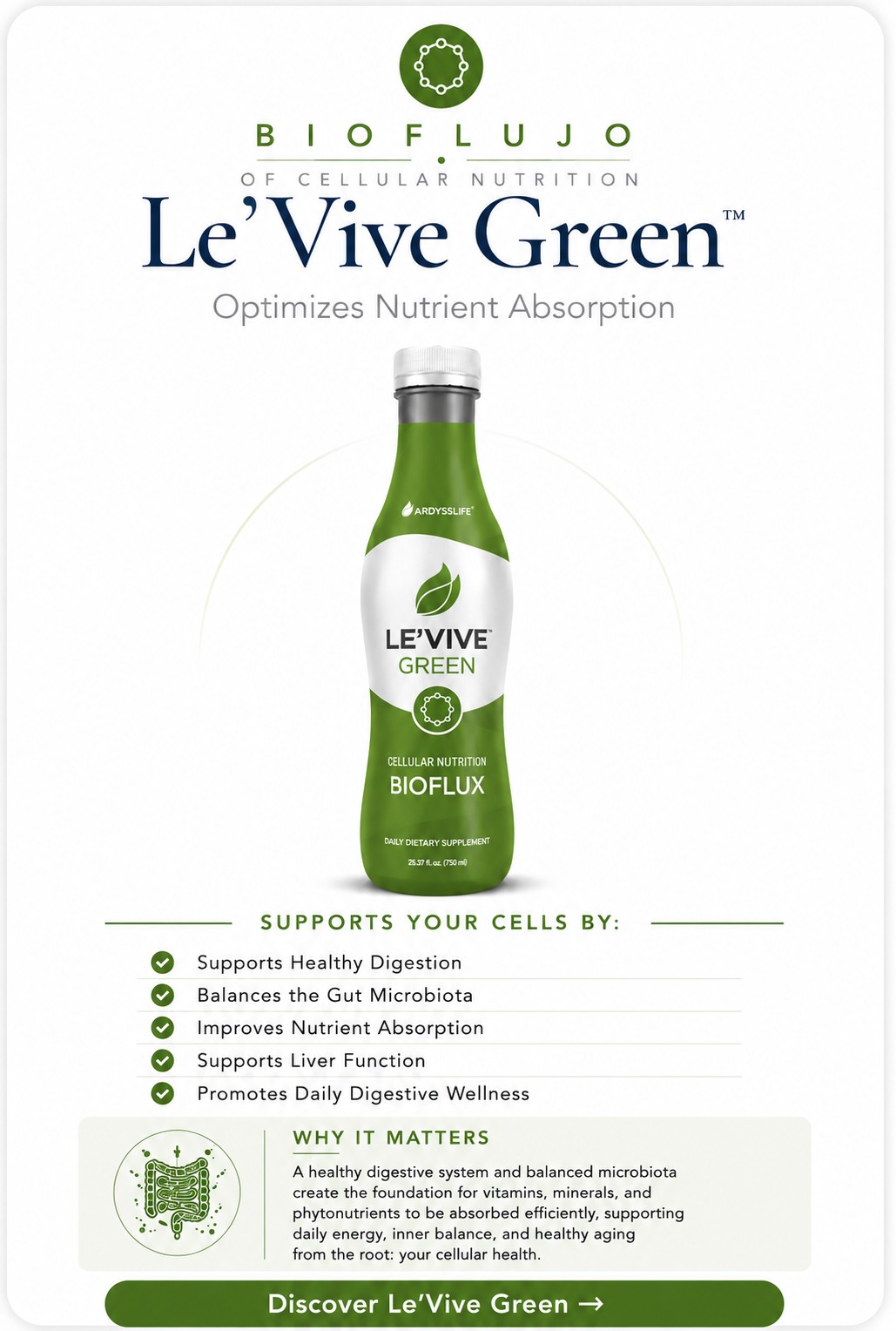 Le'Vive Green - Absorción Celular