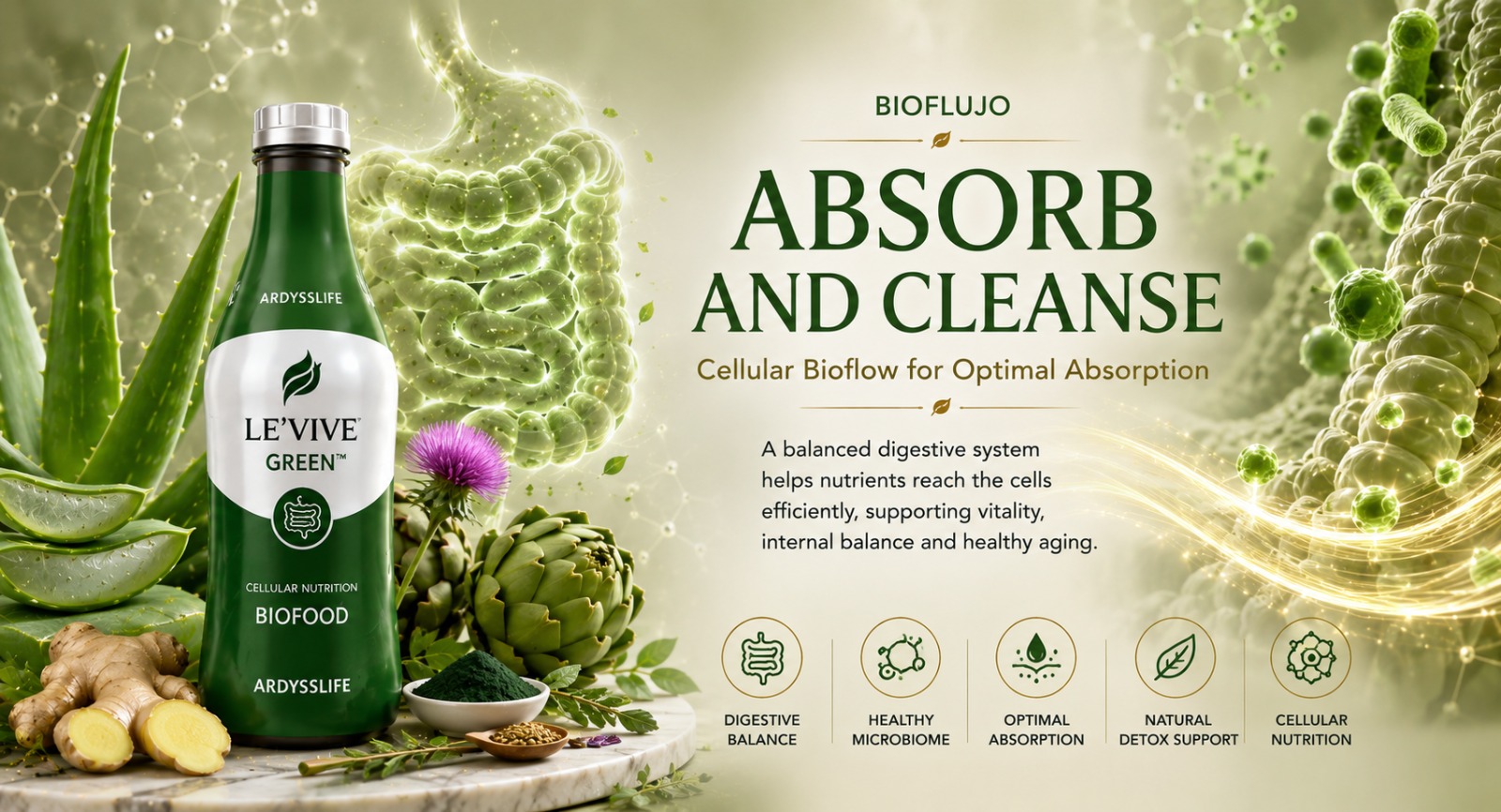 Le'Vive Green - Absorción Inteligente